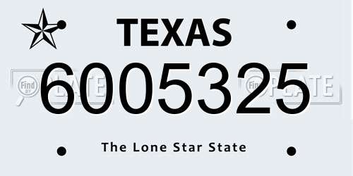6005325 Texas License Plate