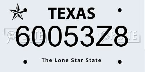60053Z8 Texas License Plate