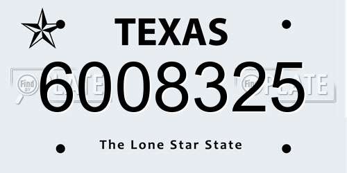 6008325 Texas License Plate