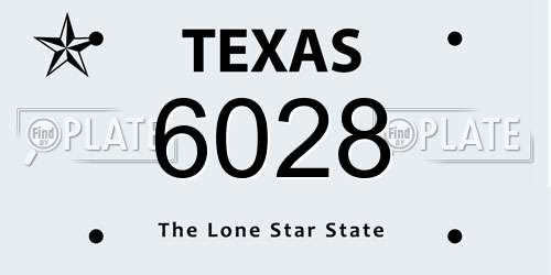 6028 Texas License Plate