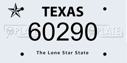 60290 Texas License Plate