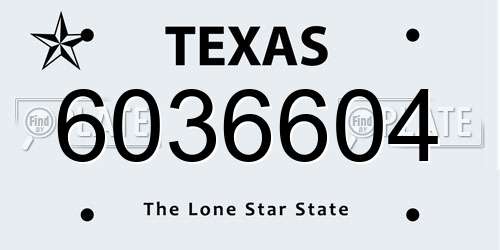 6036604 Texas License Plate