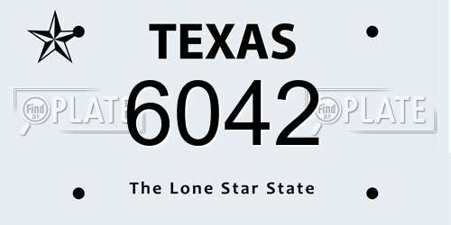 6042 Texas License Plate