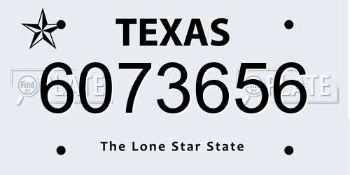 6073656 Texas License Plate