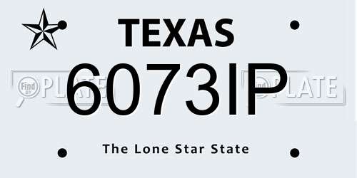6073IP Texas License Plate