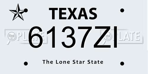 6137ZI Texas License Plate