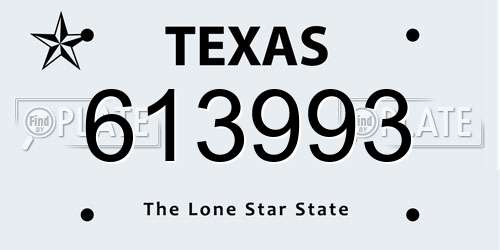 613993 Texas License Plate