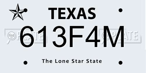 613F4M Texas License Plate
