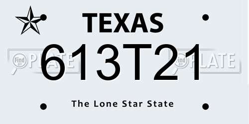 613T21 Texas License Plate