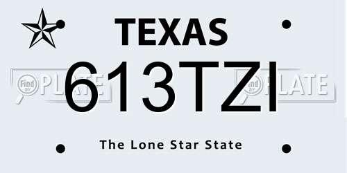 613TZI Texas License Plate