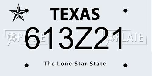 613Z21 Texas License Plate