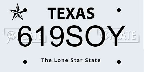 619SOY Texas License Plate