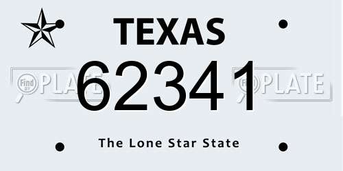 62341 Texas License Plate