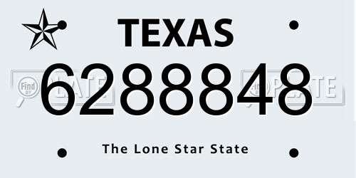 6288848 Texas License Plate