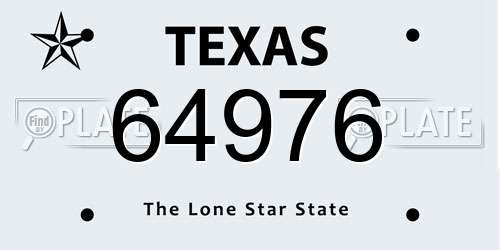 64976 Texas License Plate