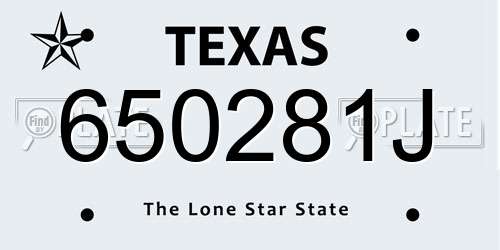 650281J Texas License Plate