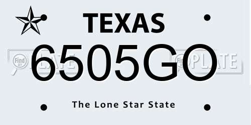 6505GO Texas License Plate