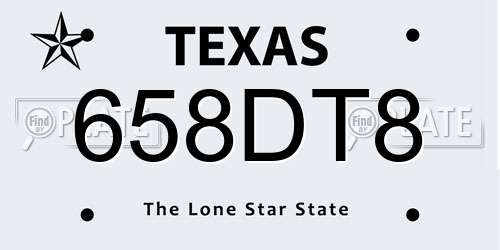 658DT8 Texas License Plate