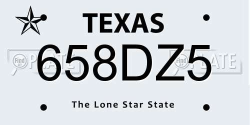 658DZ5 Texas License Plate