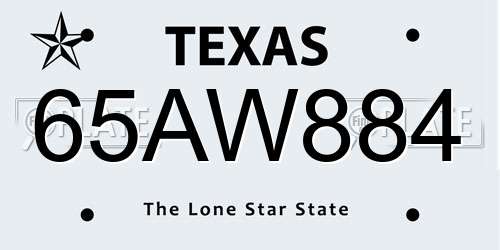 65AW884 Texas License Plate