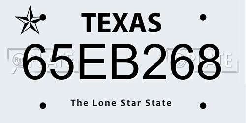 65EB268 Texas License Plate