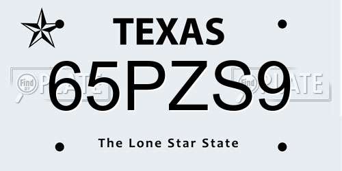 65PZS9 Texas License Plate