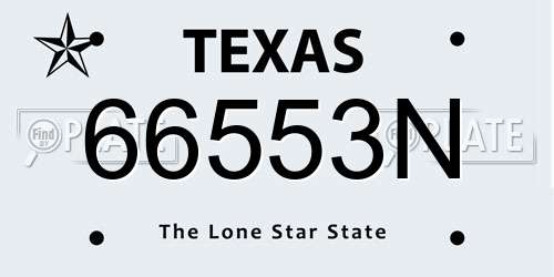 66553N Texas License Plate