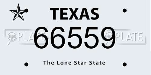 66559 Texas License Plate