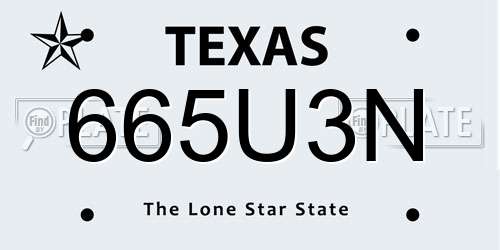 665U3N Texas License Plate
