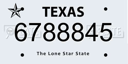 6788845 Texas License Plate