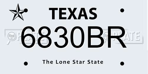6830BR Texas License Plate