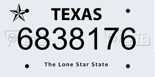 6838176 Texas License Plate