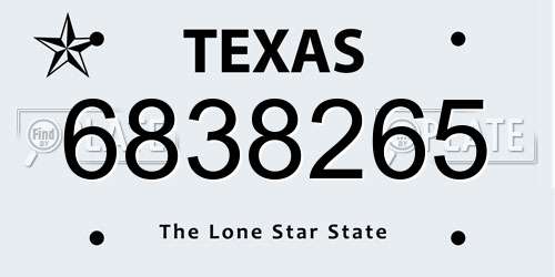 6838265 Texas License Plate