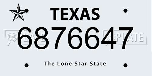 6876647 Texas License Plate