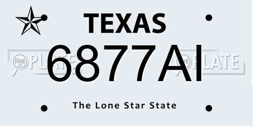 6877AI Texas License Plate