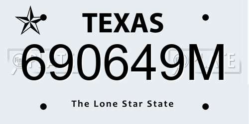 690649M Texas License Plate
