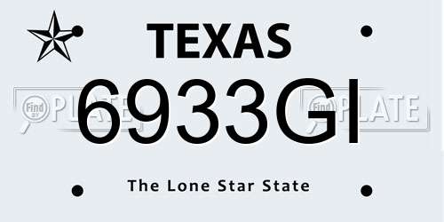 6933GI Texas License Plate
