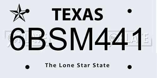 6BSM441 Texas License Plate