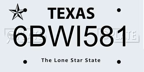 6BWI581 Texas License Plate