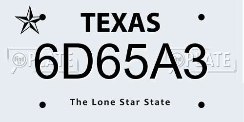 6D65A3 Texas License Plate