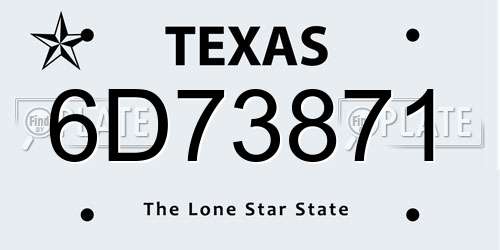 6D73871 Texas License Plate