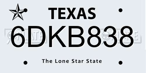 6DKB838 Texas License Plate