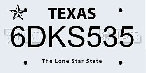 6DKS535 Texas License Plate