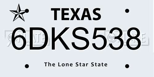 6DKS538 Texas License Plate