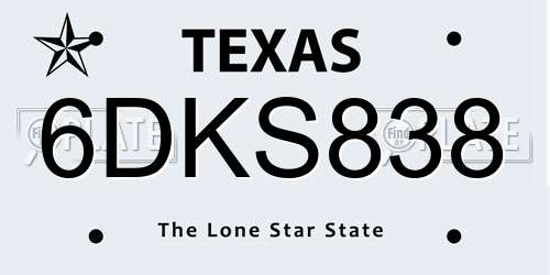6DKS838 Texas License Plate