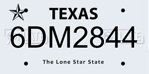 6DM2844 Texas License Plate