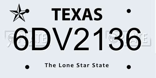 6DV2136 Texas License Plate