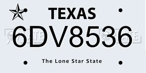 6DV8536 Texas License Plate