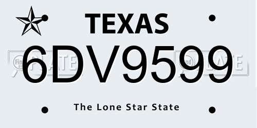 6DV9599 Texas License Plate