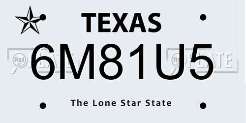 6M81U5 Texas License Plate